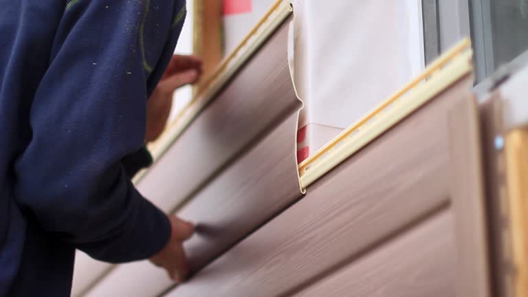 Best Shed Removal  in St Clair Shores, MI